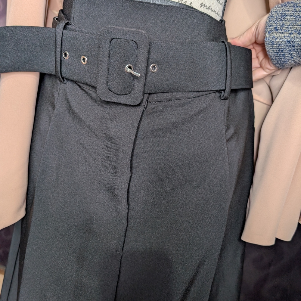 Black Pleated Belted Pants 2X